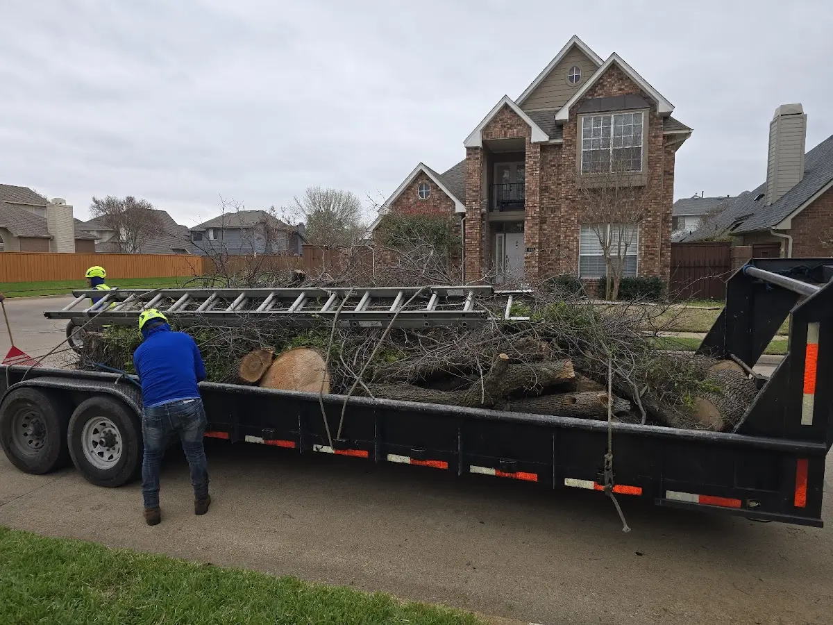 Expert Tree Fertilization with proper safety equipment in Codorus